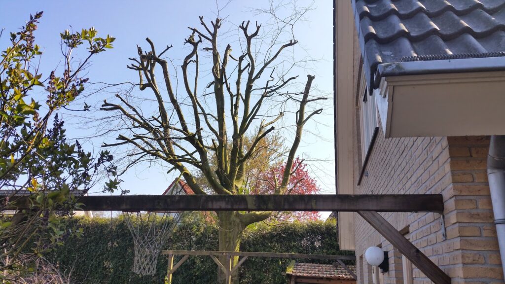 B.O.O.M M.O.O.B Hoveniers