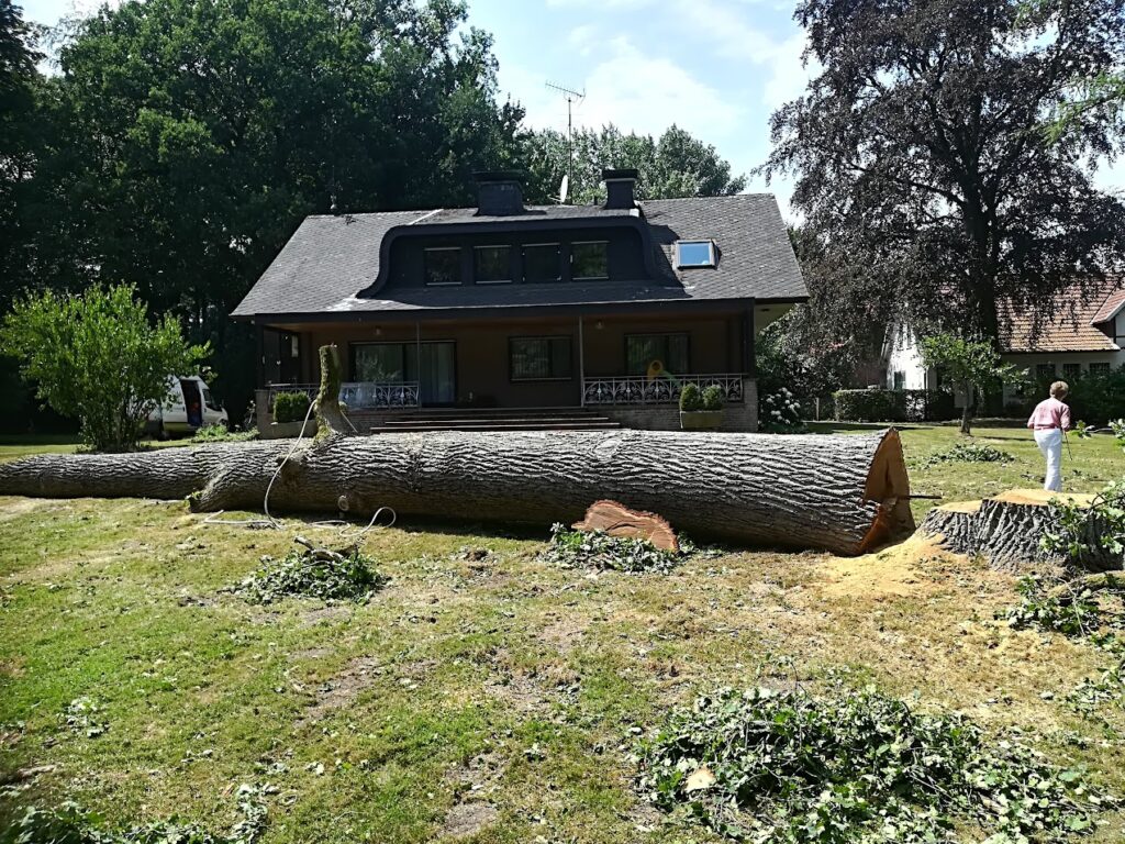 B.O.O.M. boom-, bos- en landschapsverzorging