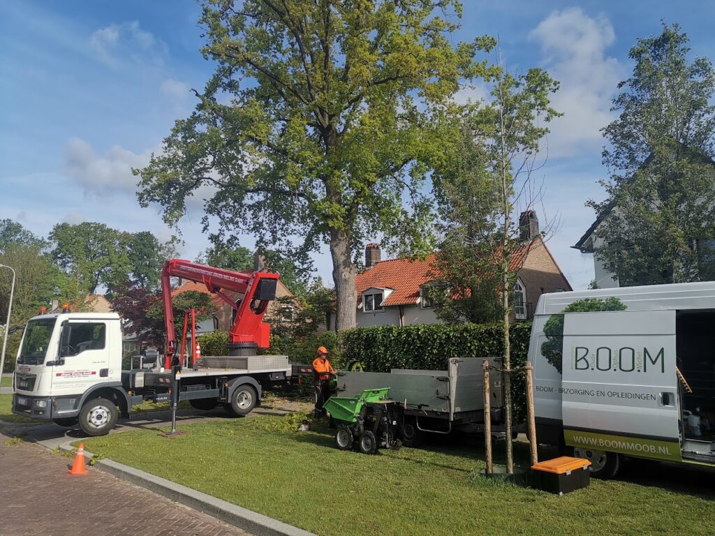 B.O.O.M. boom-, bos- en landschapsverzorging